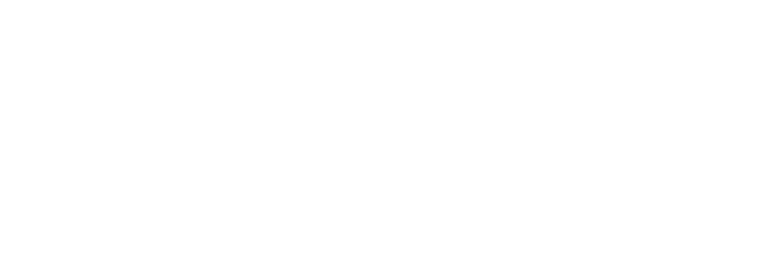 Partnerlink