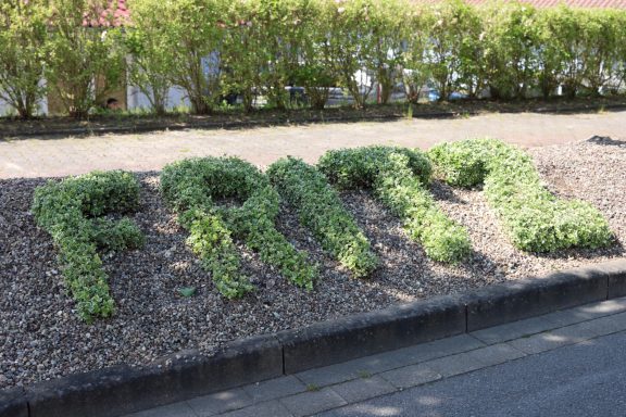 Der Schriftzug "Fritz" aus Pflanzen in einem Garten.